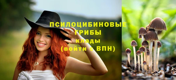 круглые Вязьма