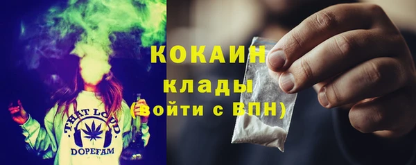 прущий лед Вяземский