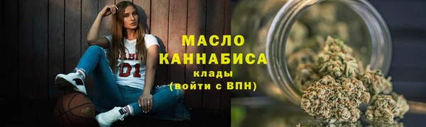 прущий лед Вяземский