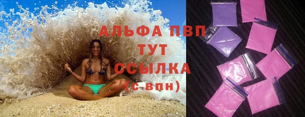 прущий лед Вяземский