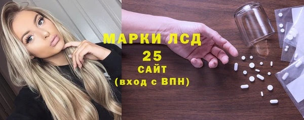 прущий лед Вяземский