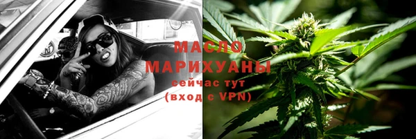 прущий лед Вяземский