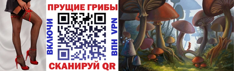Купить где  Мариинск  Галлюциногенные грибы Cubensis 