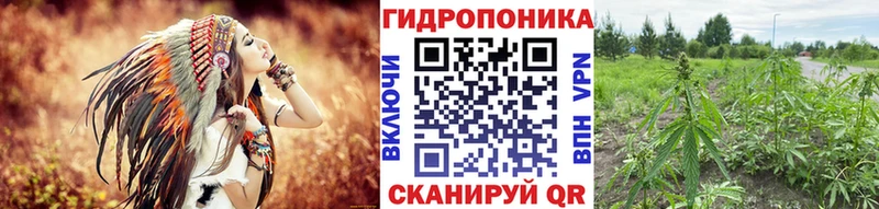 Купить где  Мариинск  МАРИХУАНА LSD WEED 
